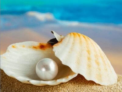 timeless-pearl-story-of-pearl-and-mother-pearl-oyster